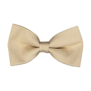 پاپیون مردانه پاترون مدل 172340027