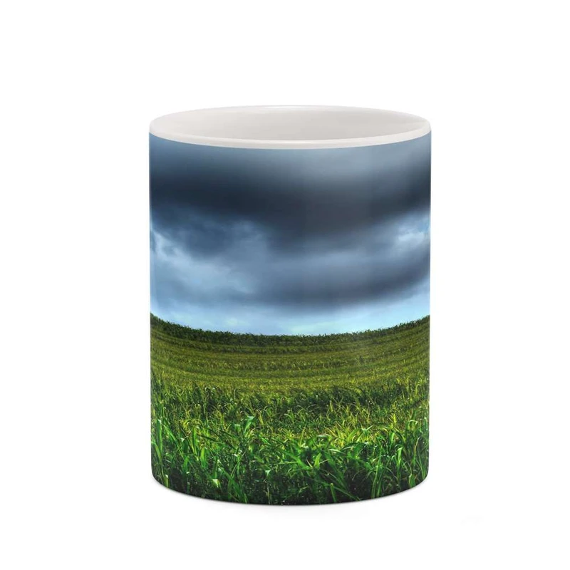 ماگ کاکتی مدل منظره کد mgh20786