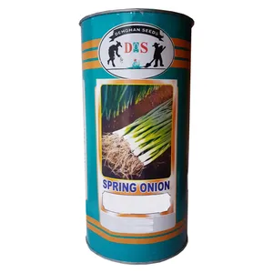 بذر پیازچه دهقان بذر مدل AB06