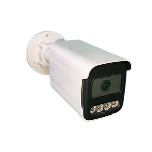 دوربین مداربسته آنالوگ مدل PBP03W2054
