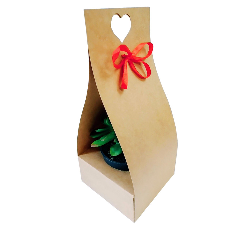 گیاه طبیعی ساکولنت مدل B-2 گیاه طبیعی ساکولنت مدل B-2