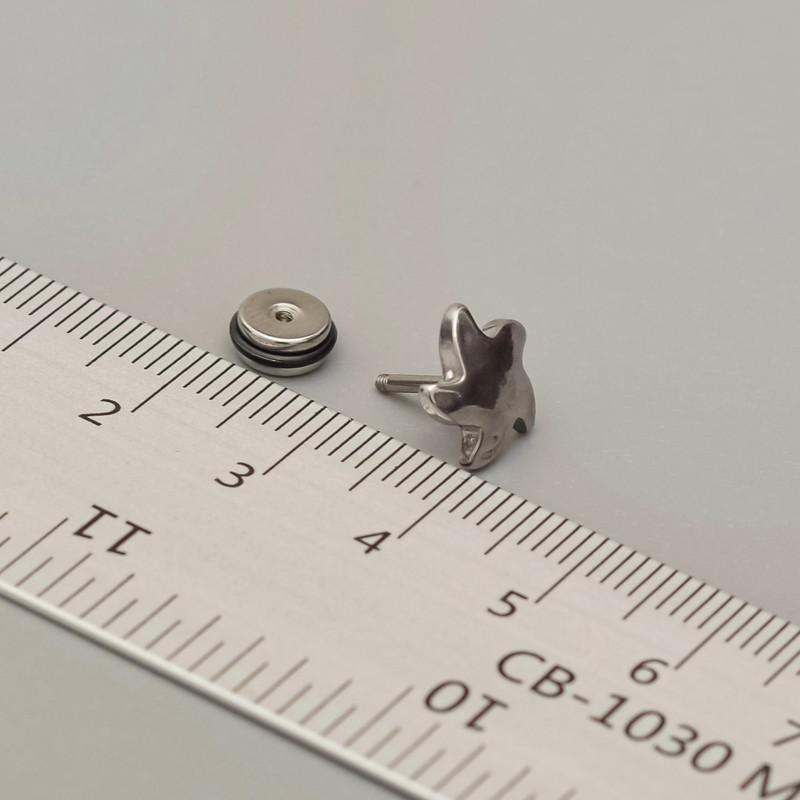 پیرسینگ گوش پایتخت مدل ps2