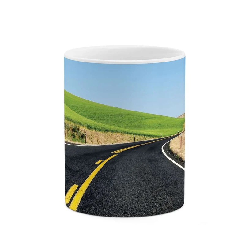 ماگ کاکتی مدل جاده کد mgh10097