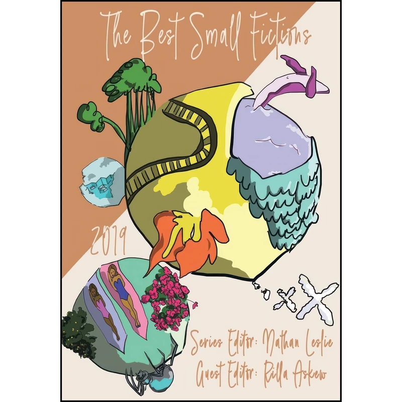 کتاب The Best Small Fictions اثر Rilla Askew and Nathan Leslie انتشارات Sonder Press