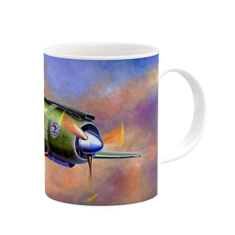 ماگ کاکتی مدل هواپیمای جنگنده کد mgh10661