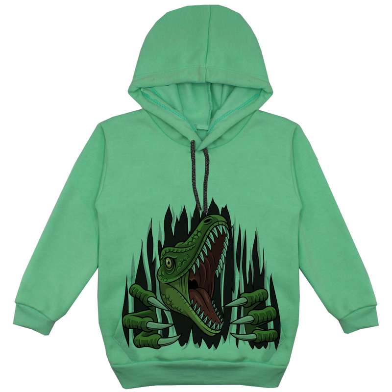 هودی پسرانه مدل دانیاسور F58 رنگ سبز