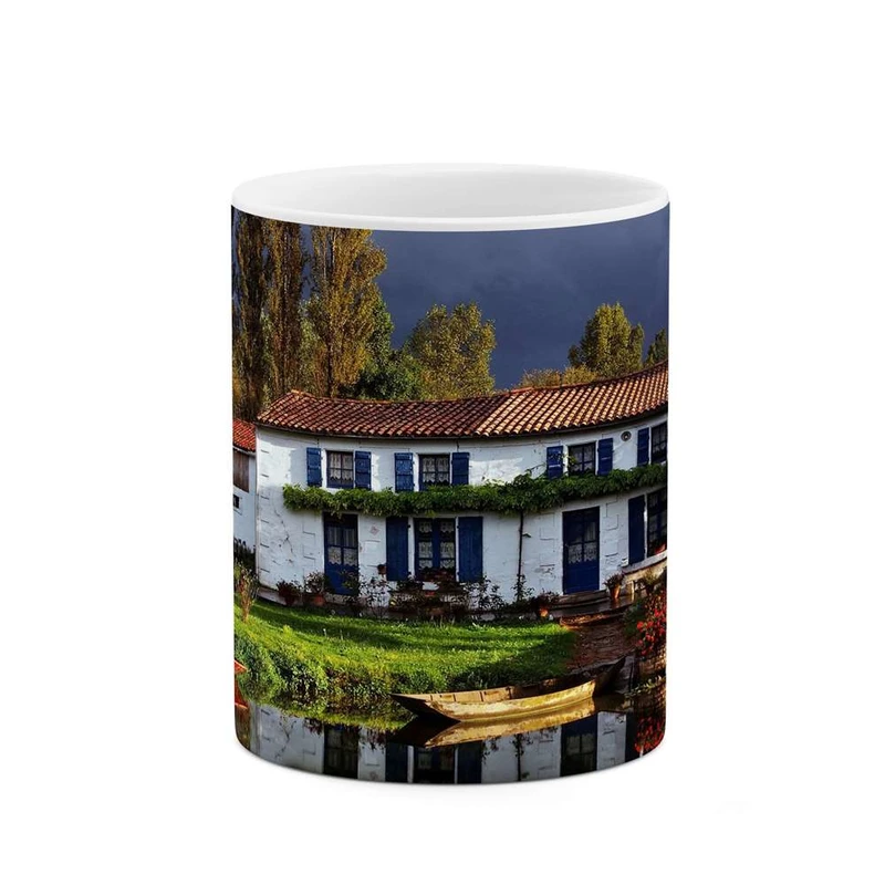 ماگ کاکتی مدل خانه برفی کد mgh10705