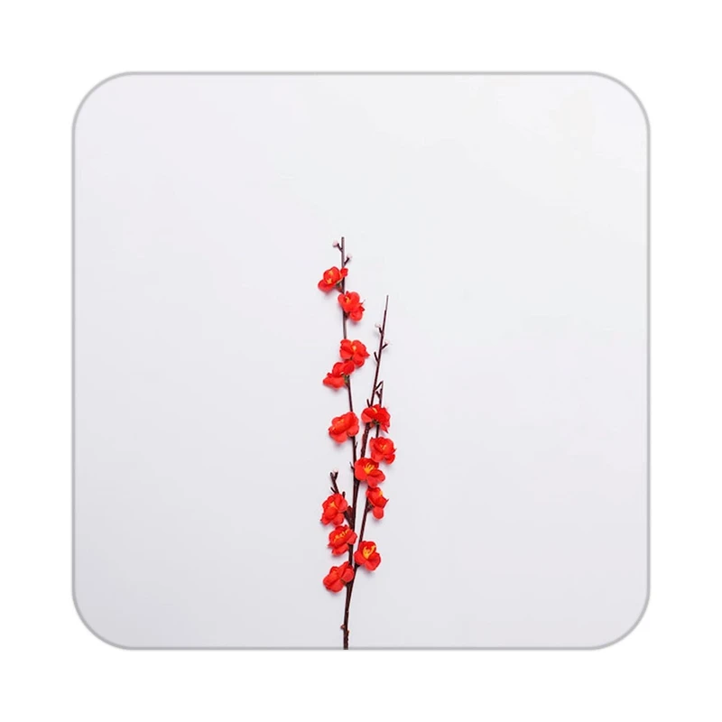 زیر لیوانی کاکتی طرح گل مدل mp16419