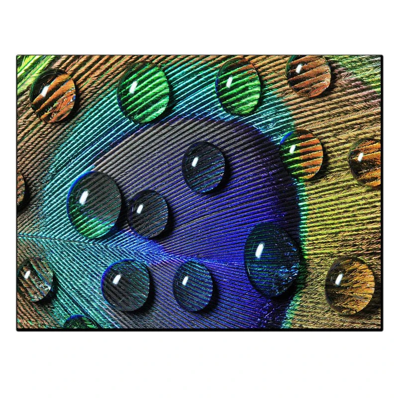 تابلو شاسی بکلیت طرح پر طاووس مدل SH-11361