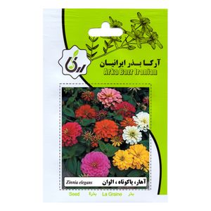 نقد و بررسی بذر گل آهار پاکوتاه الوان آرکا بذر ایرانیان کد 103-ARK توسط خریداران