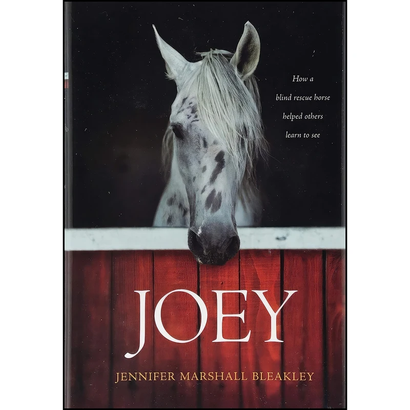 کتاب Joey اثر جمعي از نويسندگان انتشارات Tyndale Momentum