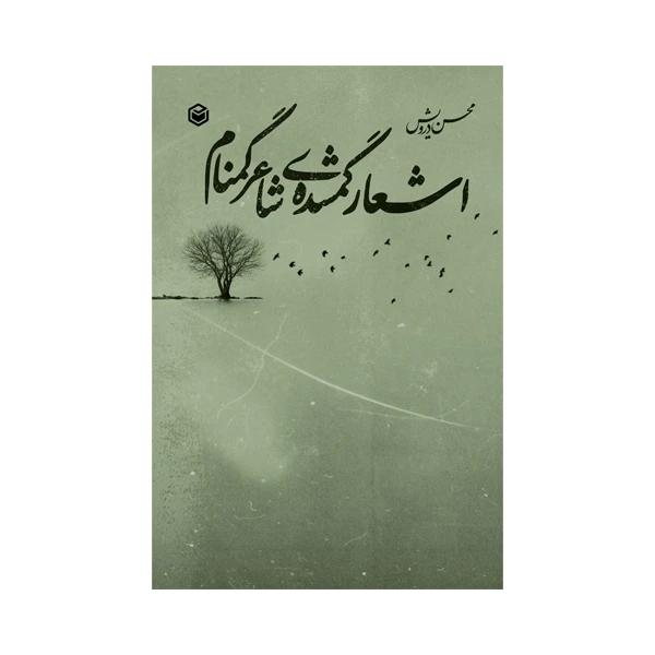 کتاب اشعار گمشده ی شاعر گمنام اثر محسن درویش نشر متخصصان