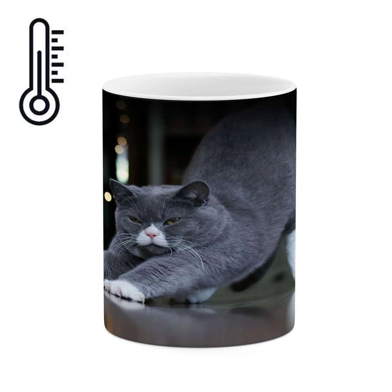 ماگ حرارتی کاکتی مدل گربه کد mgh16744