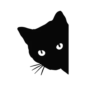 برچسب بدنه خودرو ماشین آرا طرح گربه  کد 42