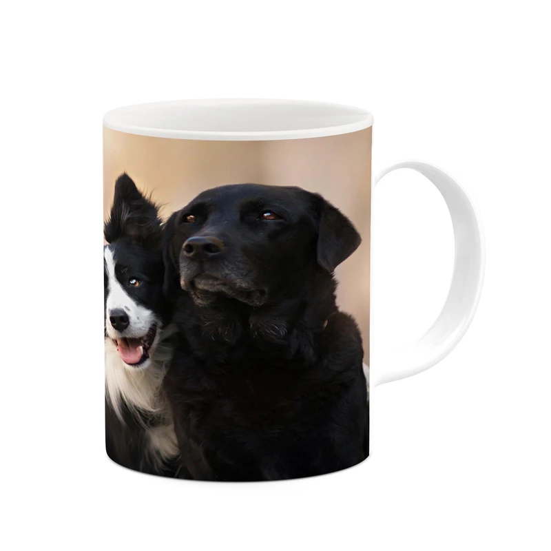 ماگ کاکتی مدل سگ کد mgh17262