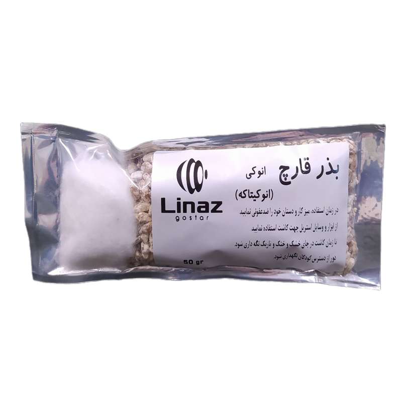 بذر قارچ انوکیتاکه لیناز گستر کد 19 بذر قارچ انوکیتاکه لیناز گستر کد 19