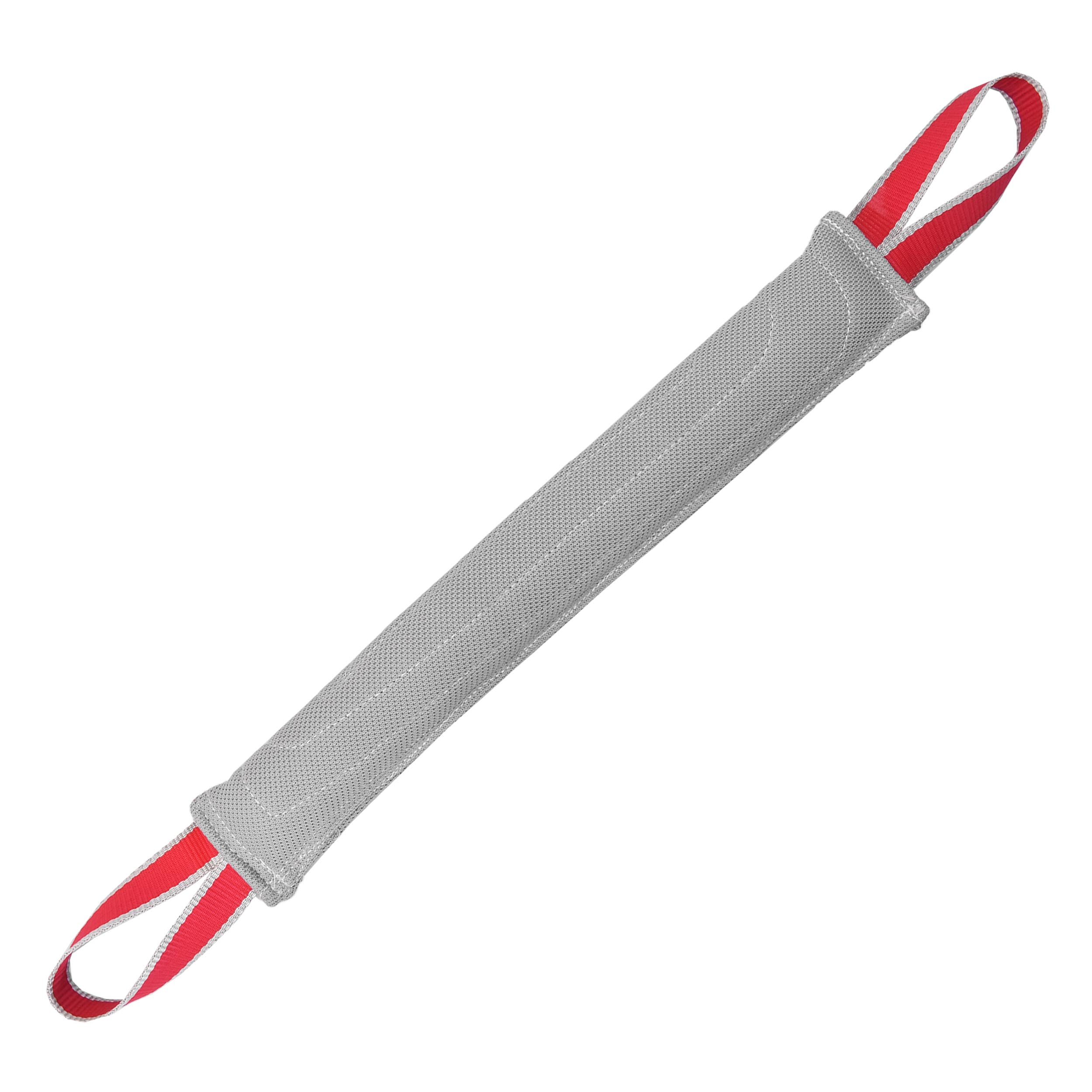 تاگ آموزشی سگ کد TA P2L-2