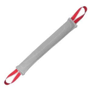 تاگ آموزشی سگ کد TA P2L-2