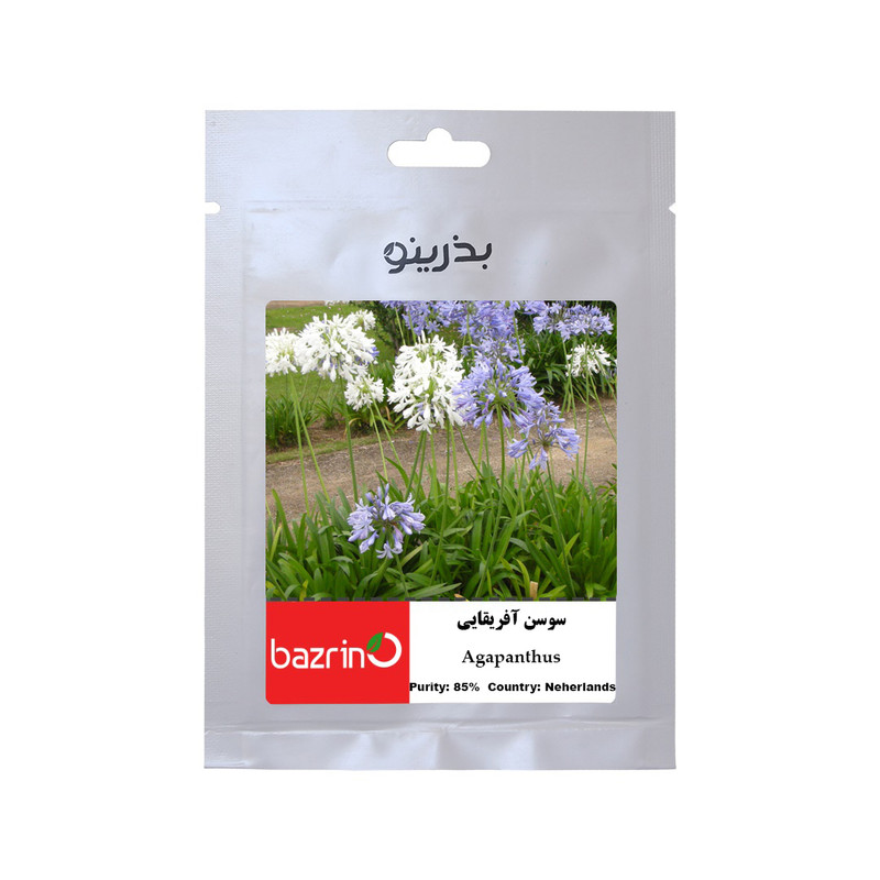 بذر گل سوسن آفریقایی هلندی بذرینو کد BZNO-283