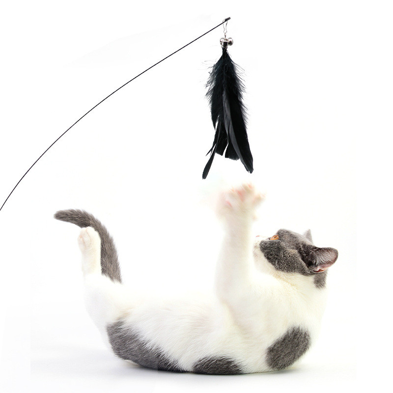 اسباب بازی گربه مدل پر متحرک