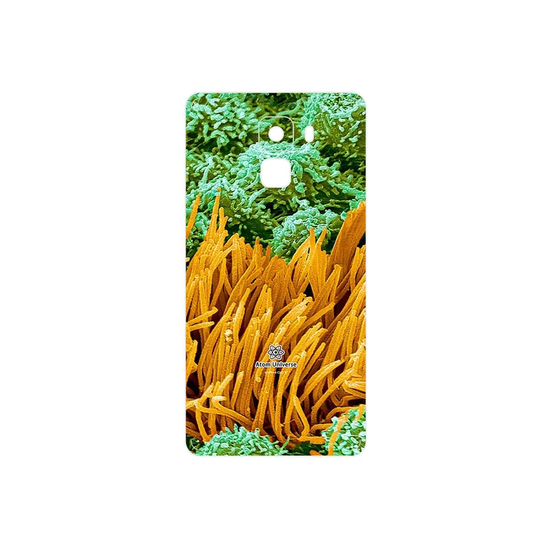 برچسب پوششی ماهوت مدل Atom Universe 6 مناسب برای گوشی موبایل آنر 7