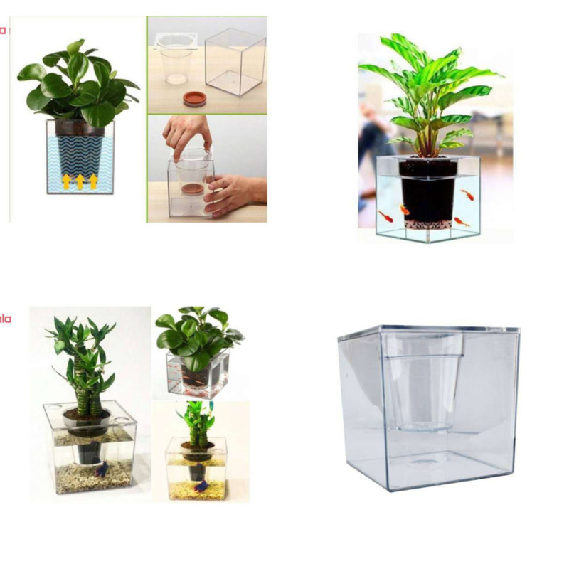 گلدان مدل آکواریومی کد 15x15 گلدان مدل آکواریومی کد 15x15