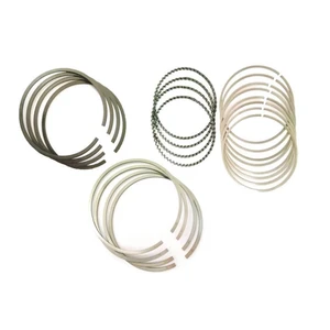 رینگ موتور ریک مدل 0.25 کد 40842 مناسب برای پژو 206 بسته 20 عددی