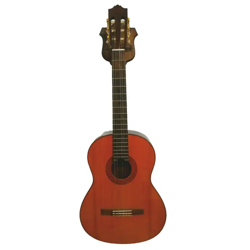 پایه گیتار مدل پولگار 02