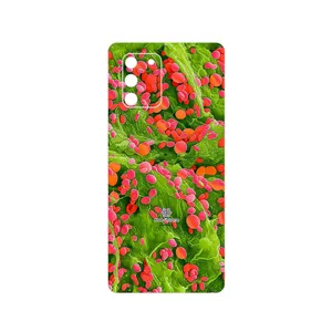 MAHOOT Atom Universe 3 Cover Sticker for Samsung Galaxy S10 Lite