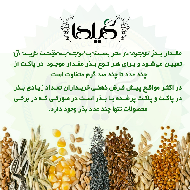 بذر چمن اسپرت گیلدا کد 440