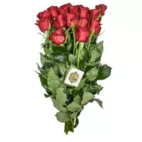 دسته گل رز هلندی قرمز هیمان کد Ro08
