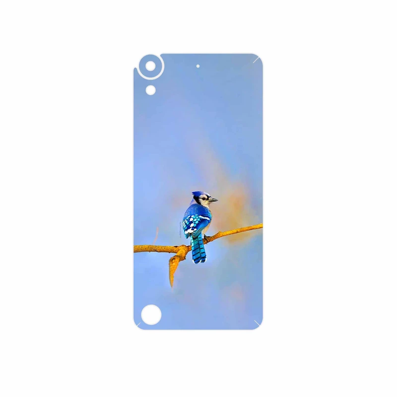 برچسب پوششی ماهوت مدل Cyanocitta cristata مناسب برای گوشی موبایل اچ تی سی Desire 630