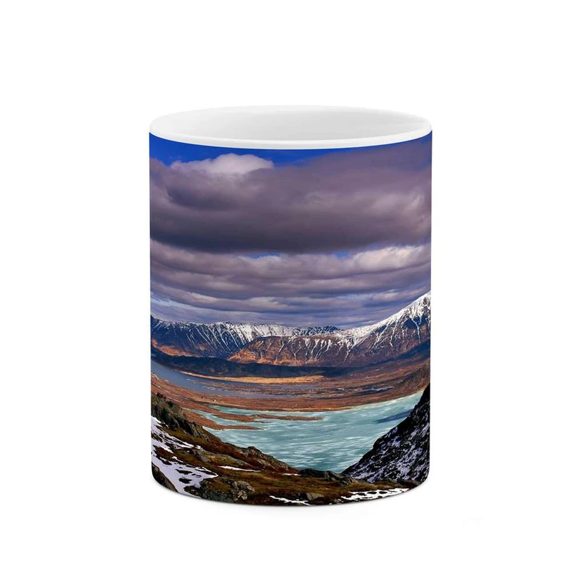 ماگ کاکتی مدل منظره کد mgh15837