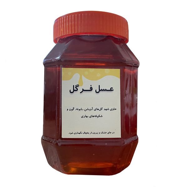 عسل شهد فرگل -1 کیلوگرم