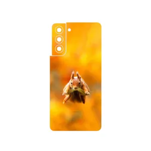MAHOOT Squirrel Cover Sticker for Samsung Galaxy S21 5G