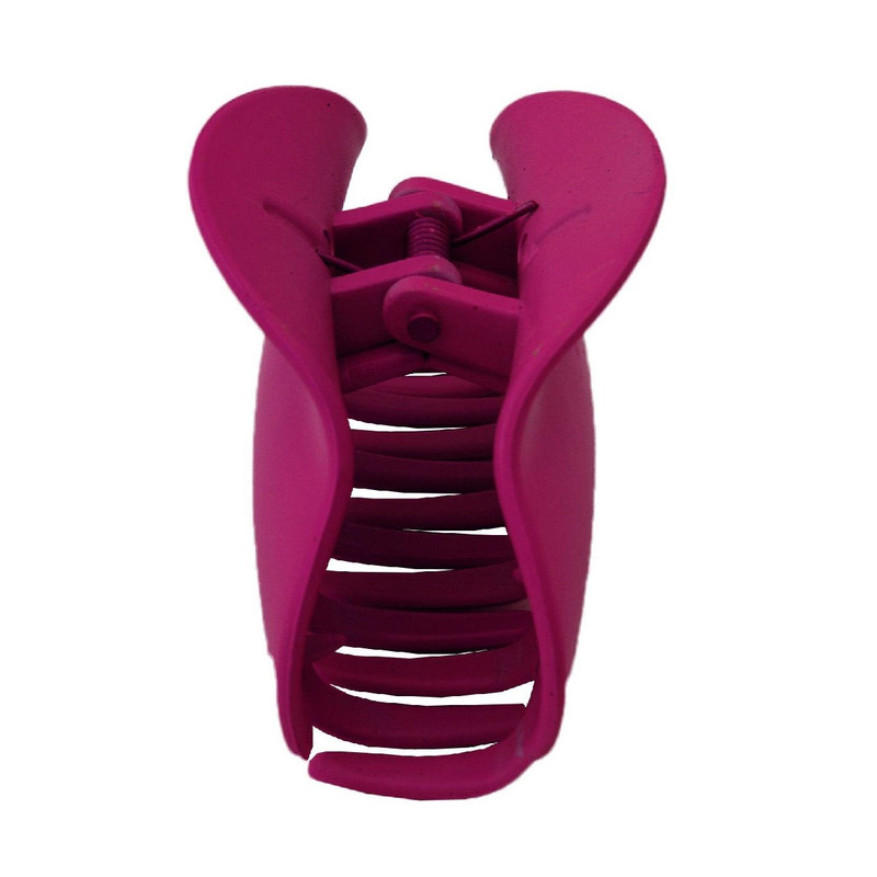 کلیپس مو زنانه مدل AES65