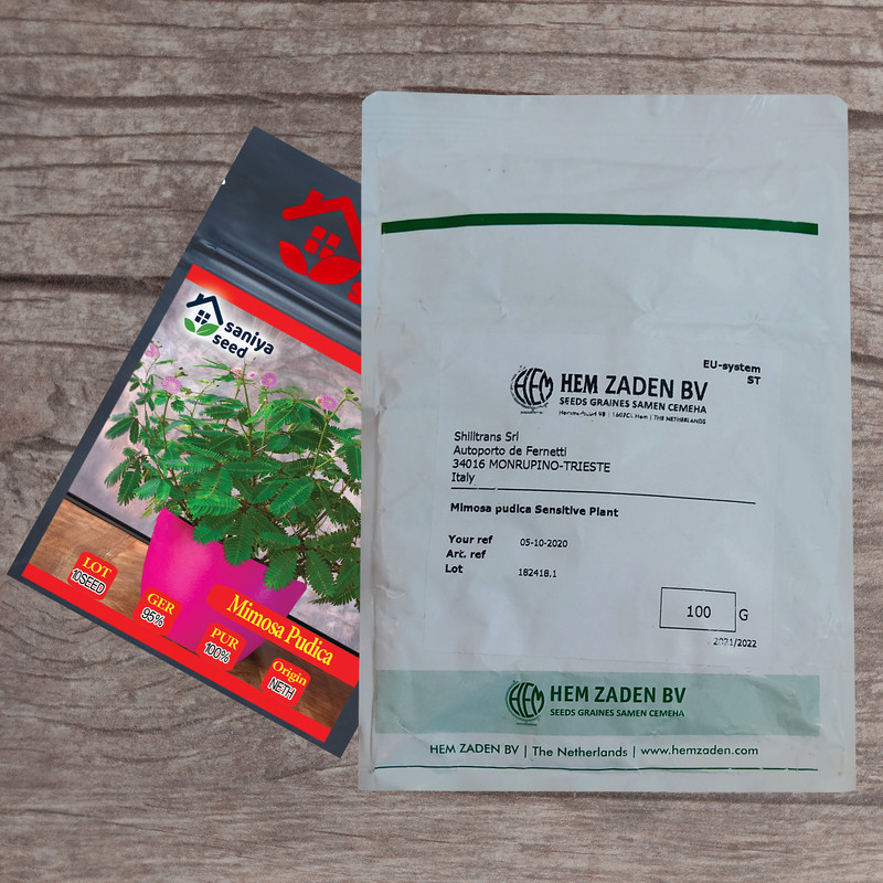 بذر گل قهر و آشتی سانیا سید مدل SS65