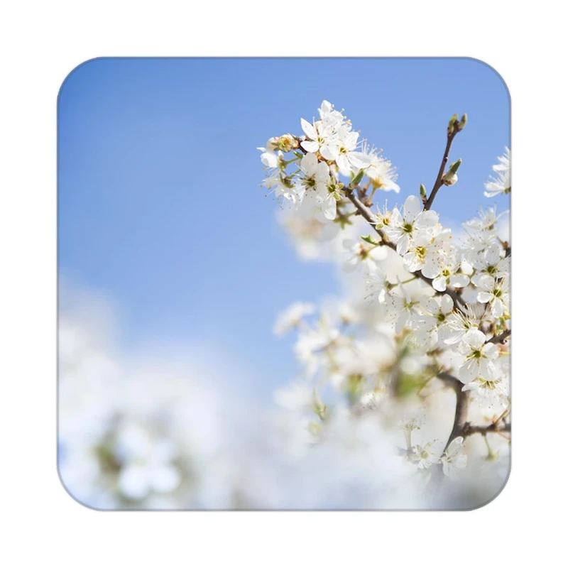 زیر لیوانی کاکتی طرح گل مدل mp16651