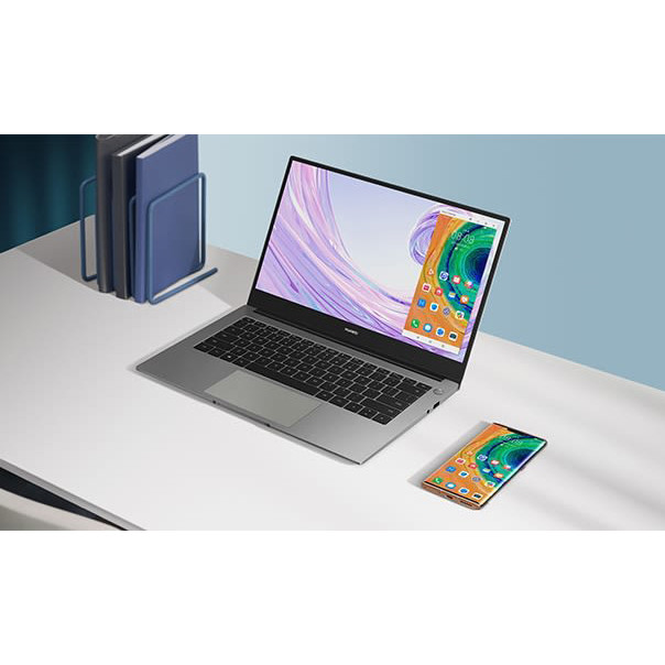لپ تاپ 14 اینچی هوآوی مدل MateBook D14 NobelD