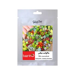 بذر ساکولنت میکس بذرینو کد BZNO-260
