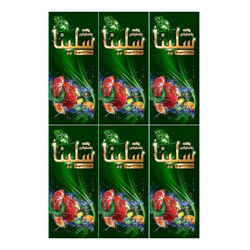 کیسه فریزر سلینا مدل M6 مجموعه 6 عددی