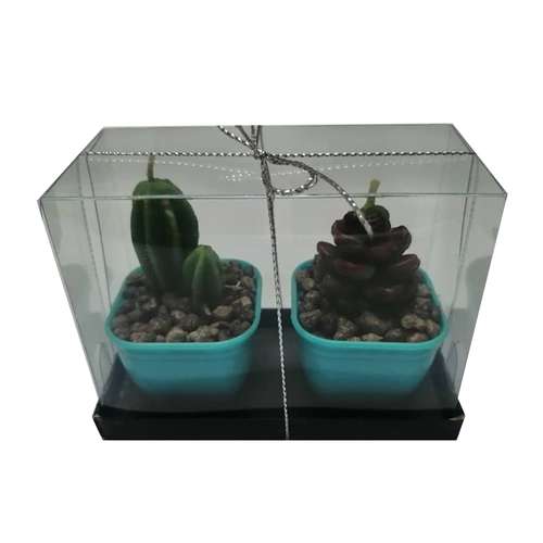 شمع طرح کاکتوس بسته 2 عددی