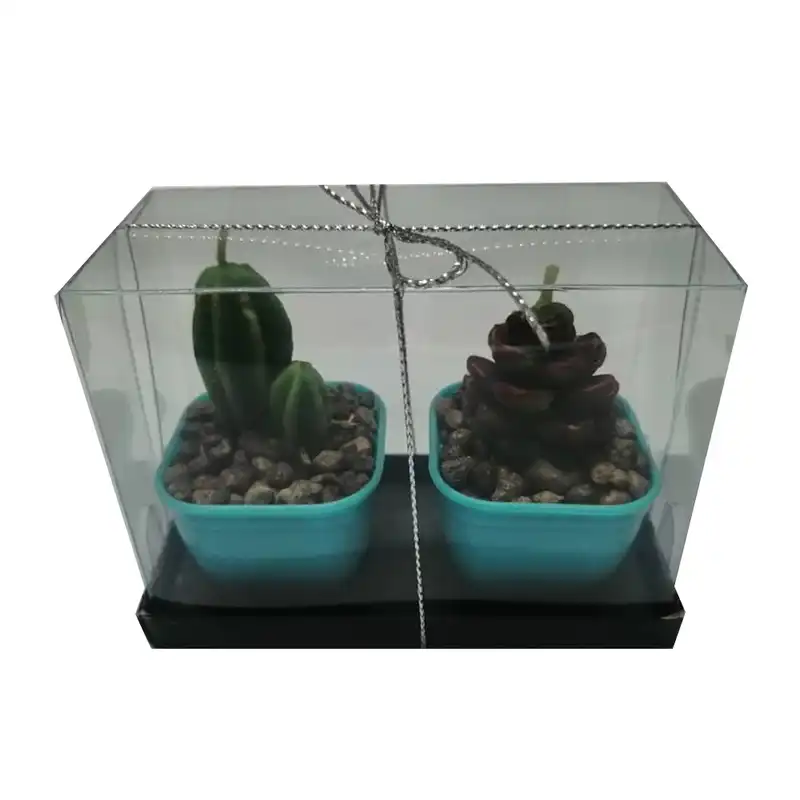 شمع طرح کاکتوس بسته 2 عددی