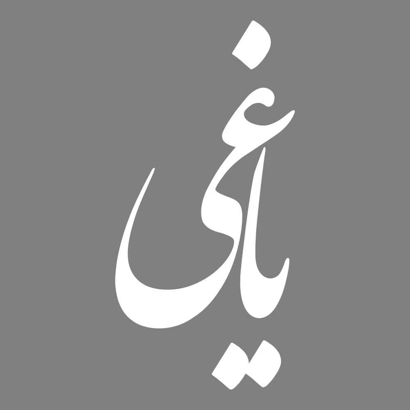 برچسب بدنه خودرو طرح یاغی کد MT-W372