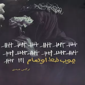 کتاب چوب خط اوهام اثر نرگس عبدی انتشارات شقایق