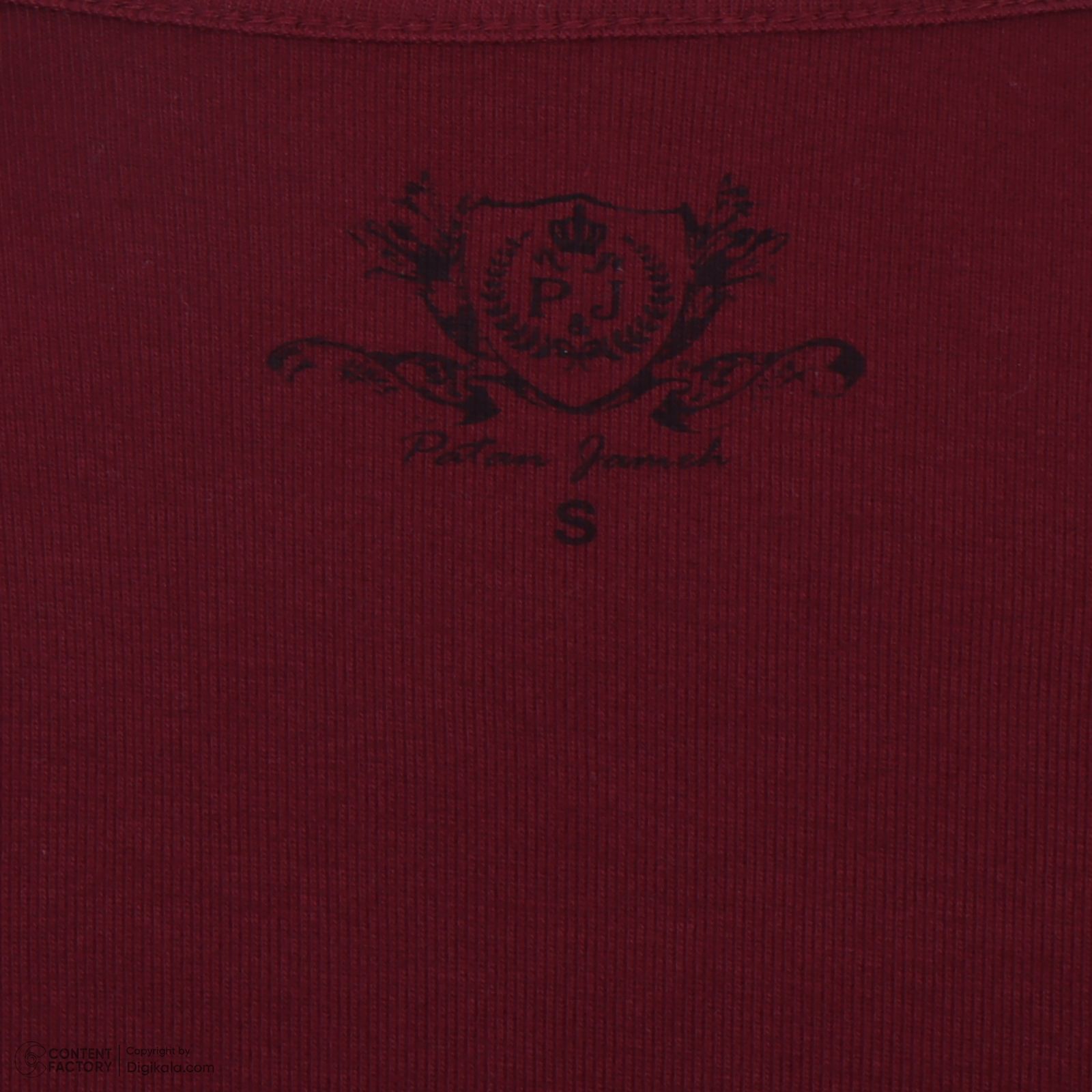 تی شرت آستین کوتاه زنانه پاتن جامه مدل فیانگو 131631020123690 رنگ زرشکی -  - 6