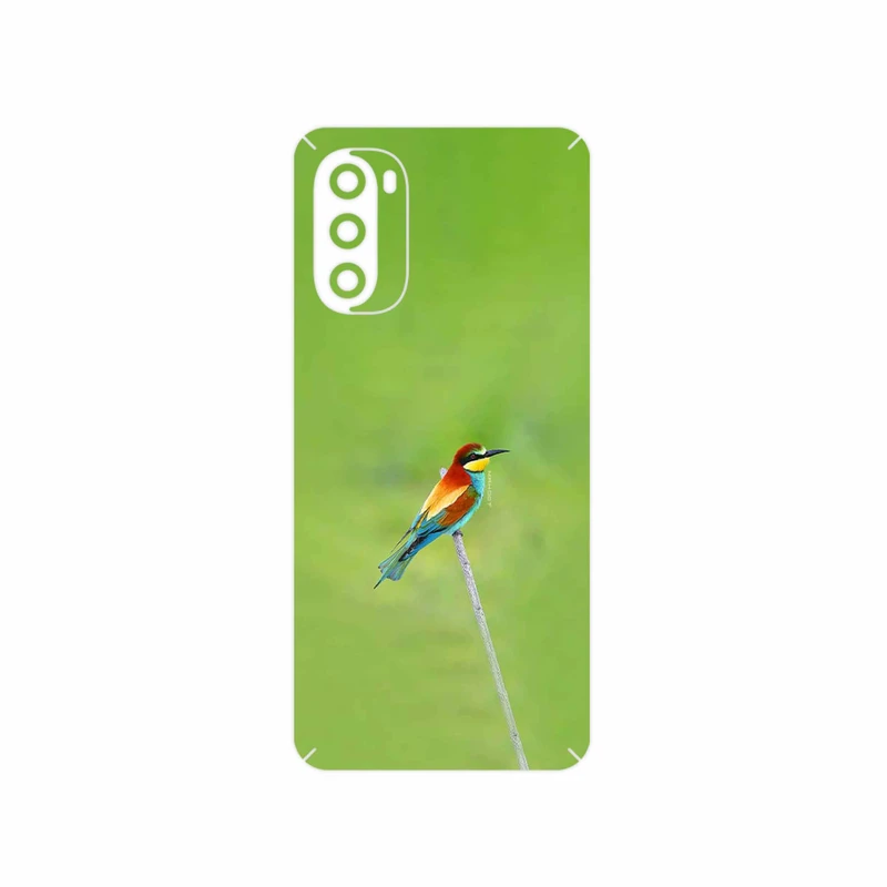 برچسب پوششی ماهوت مدل European bee-eater مناسب برای گوشی موبایل موتورولا Moto G52