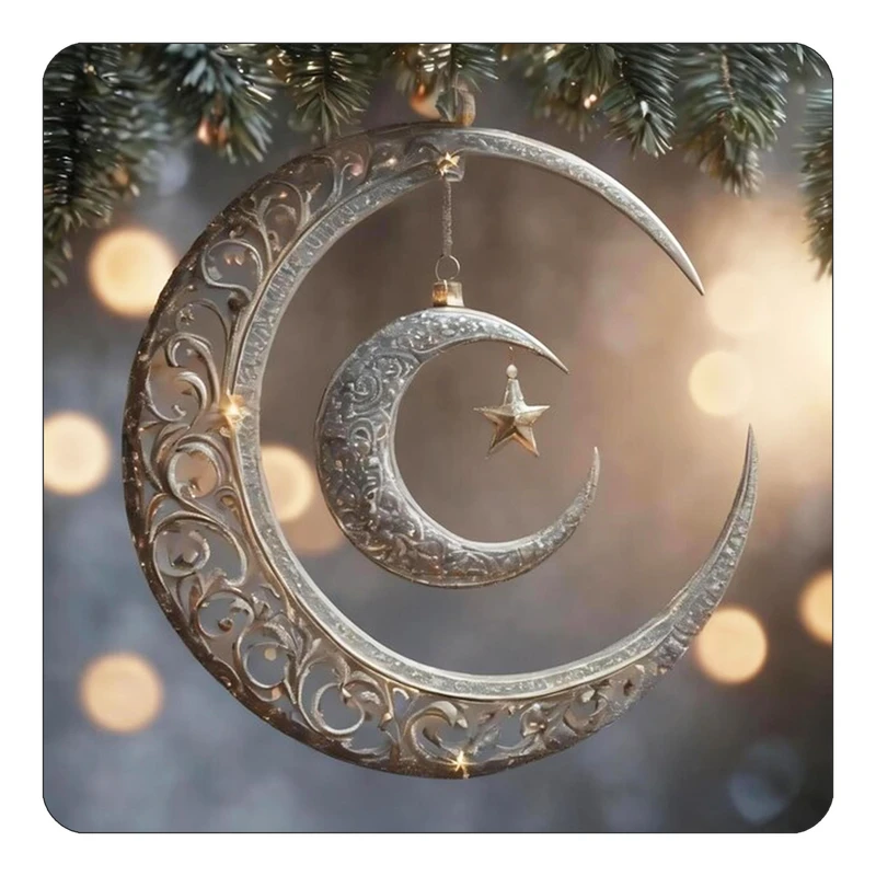 مگنت کاکتی طرح ماه و ستاره مدل mp50569