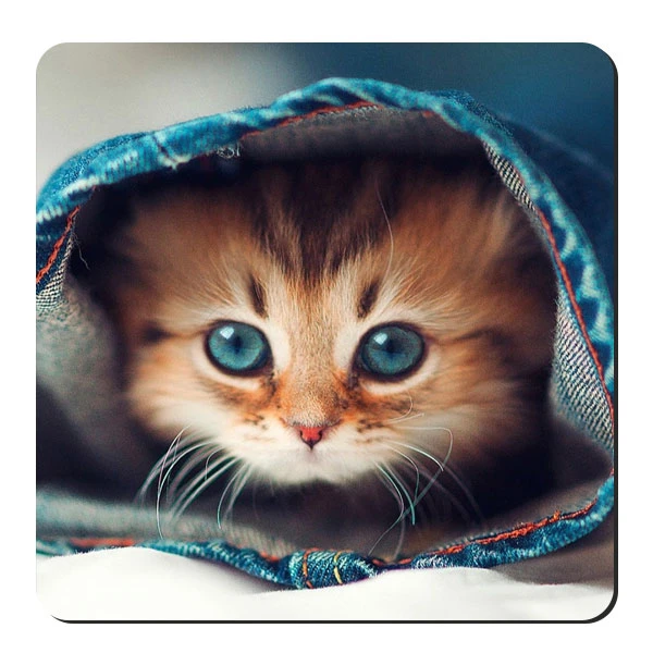  زیر لیوانی طرح بچه گربه کد nzl646