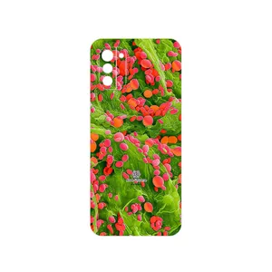 MAHOOT Atom Universe 3 Cover Sticker for Nokia G21